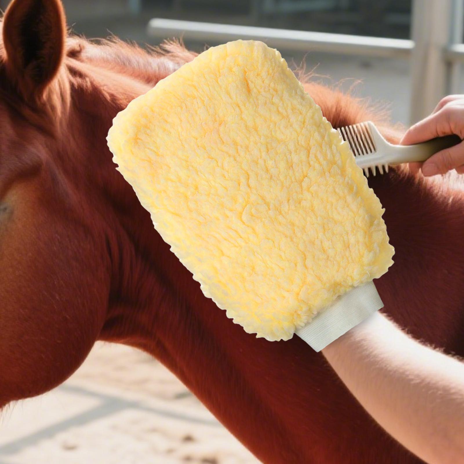 Grooming Kit Horse - Tick Mitt Applicator Glove for Horses,