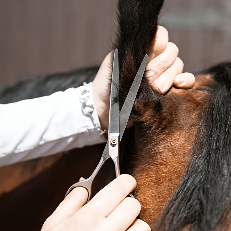 Horse Grooming Tool Set Stainl - Grooming Kit Horse ulasan dan harga