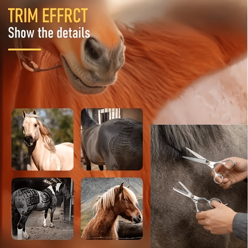 Horse Grooming Tool Set Stainl - Grooming Kit Horse ulasan dan harga