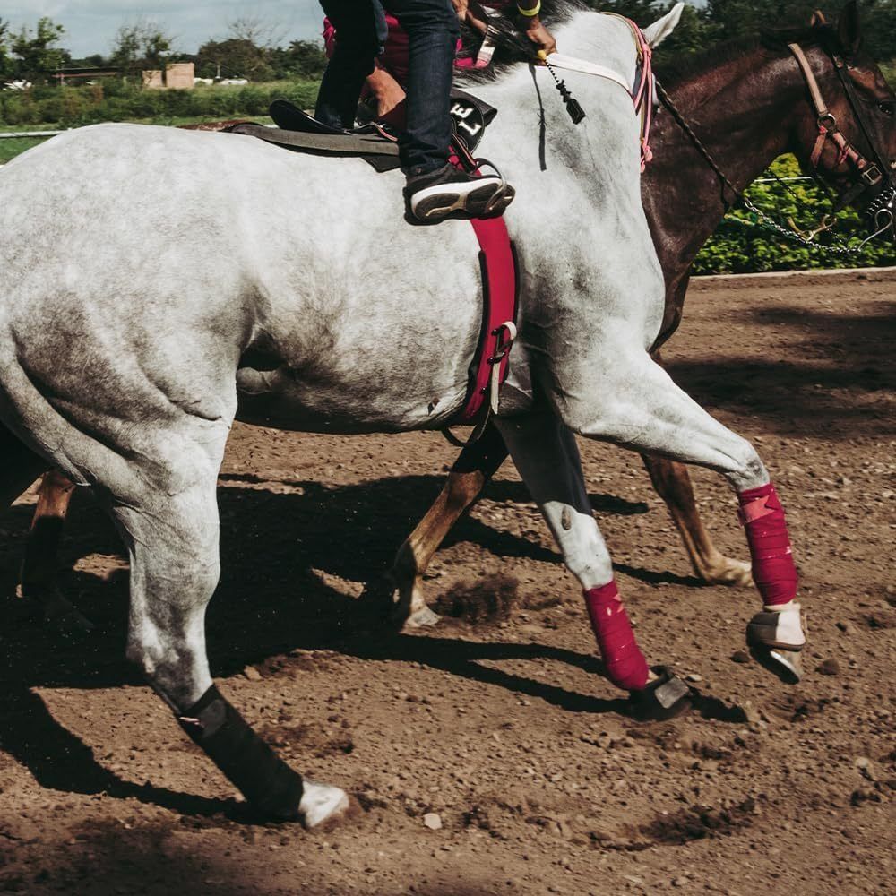2/4Pcs Set Breathable Horse Le - Grooming Kit Horse ulasan dan harga