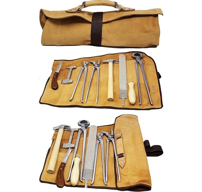 Professional Horseshoe Farrier - Grooming Kit Horse ulasan dan harga