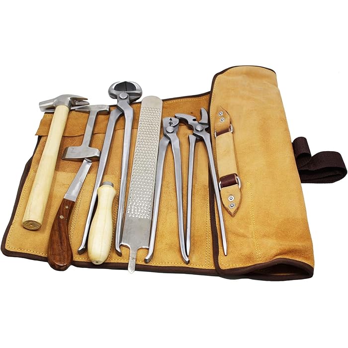 Professional Horseshoe Farrier - Grooming Kit Horse ulasan dan harga