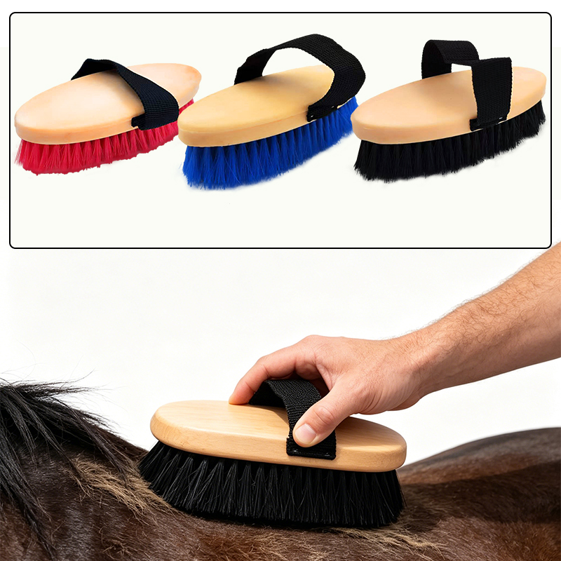 Elliptical Horse Grooming Curr - Grooming Kit Horse ulasan dan harga