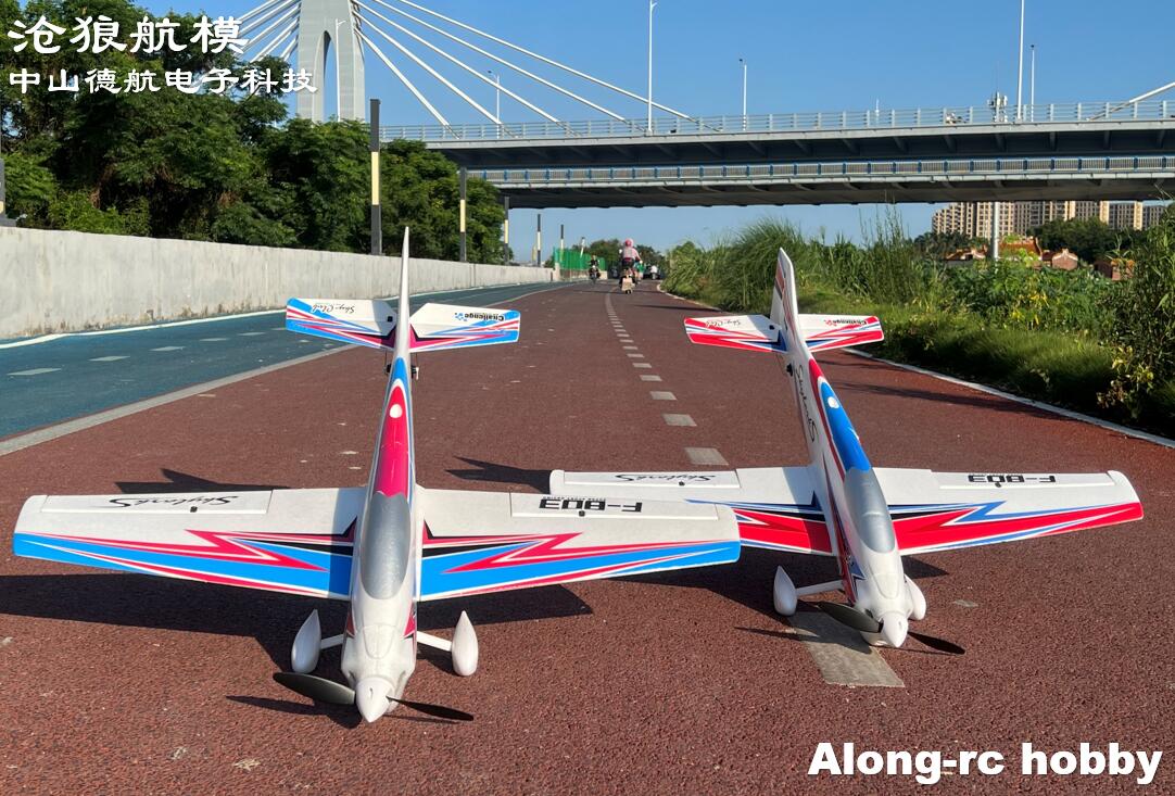F803  F3A Skylarks 1000mm Wing - Outdoor Sport Hobbies ulasan dan harga