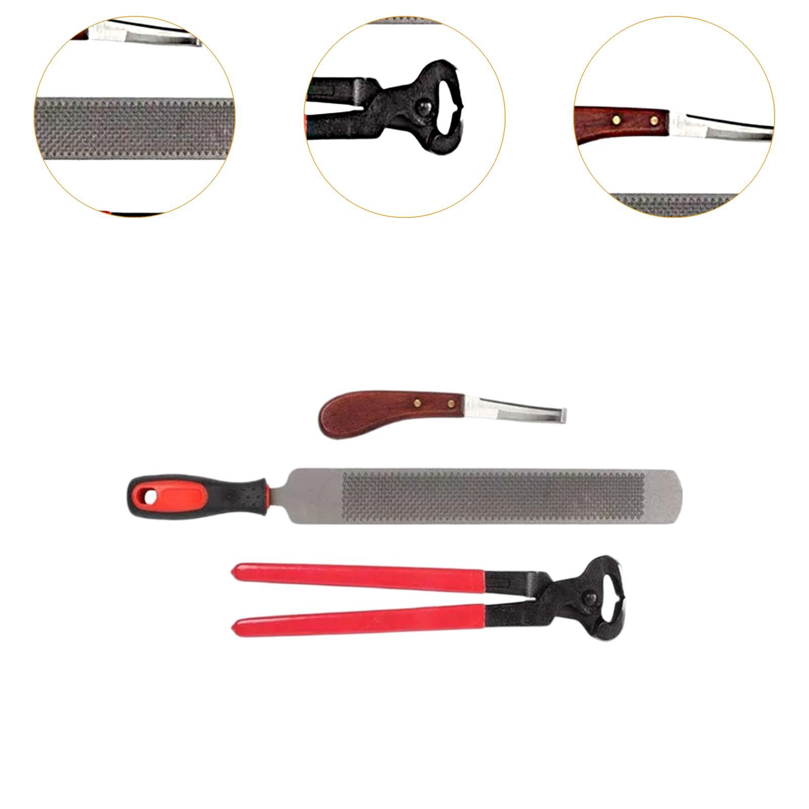 Horse Hoof Trimming Iron Rasp  - Grooming Kit Horse ulasan dan harga