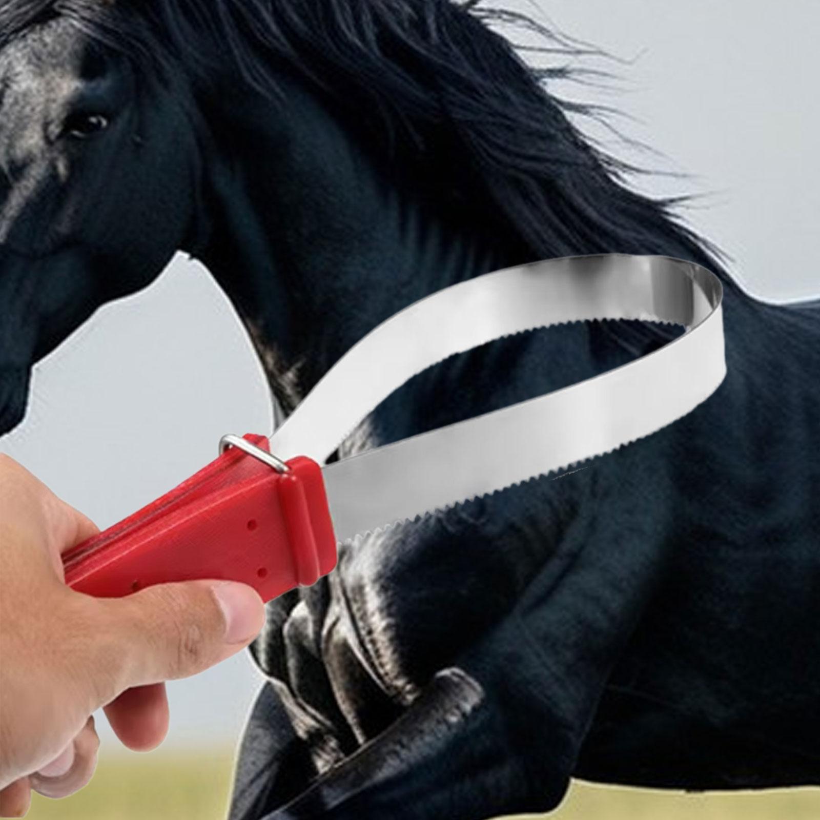 Practical Horse Hair Cleaning  - Grooming Kit Horse ulasan dan harga