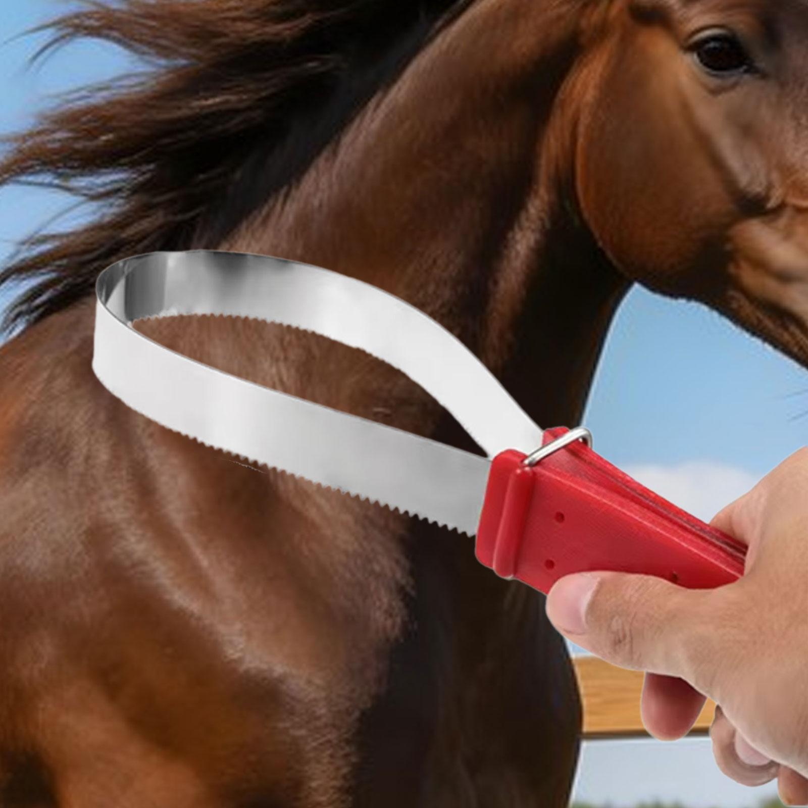 Practical Horse Hair Cleaning  - Grooming Kit Horse ulasan dan harga